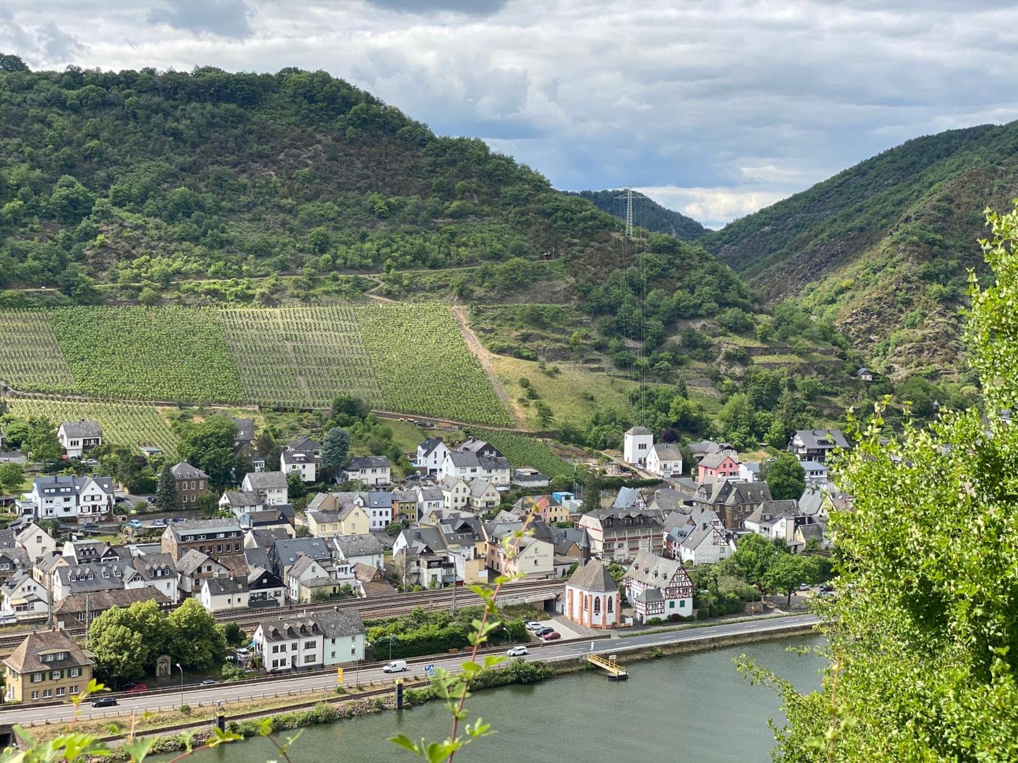 Mike'S Mosel Lodge ทรัยส์-คาร์เดิน ภายนอก รูปภาพ