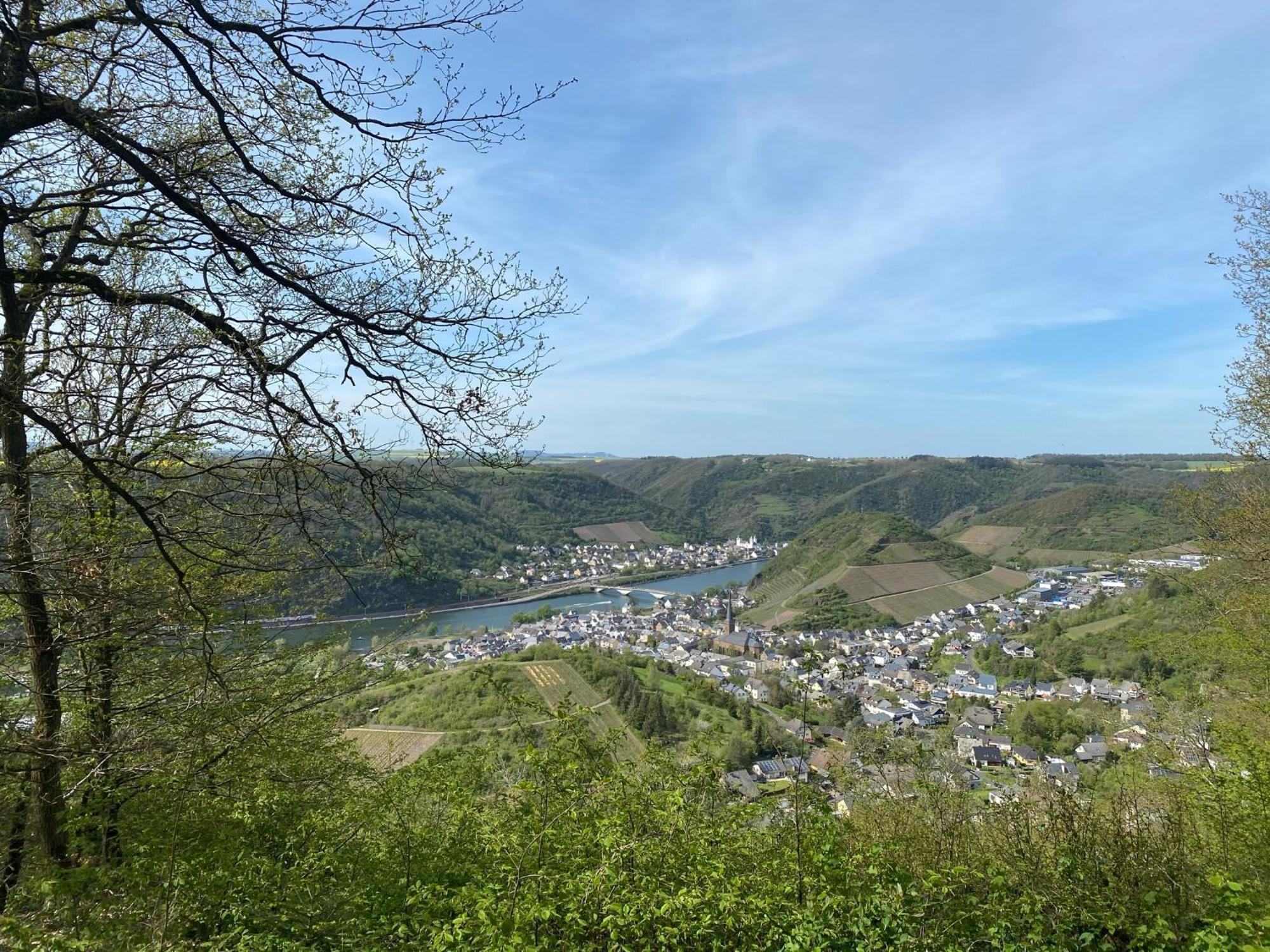 Mike'S Mosel Lodge ทรัยส์-คาร์เดิน ภายนอก รูปภาพ